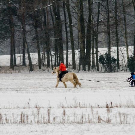 Kolorowe Wzgorze Agroturystyka I Konie Trojanow Exterior foto