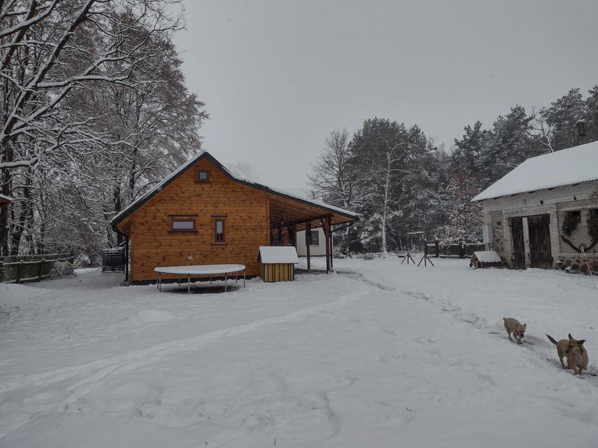 Kolorowe Wzgorze Agroturystyka I Konie Trojanow Exterior foto