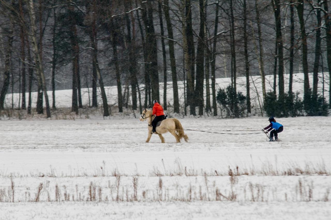 Kolorowe Wzgorze Agroturystyka I Konie Trojanow Exterior foto