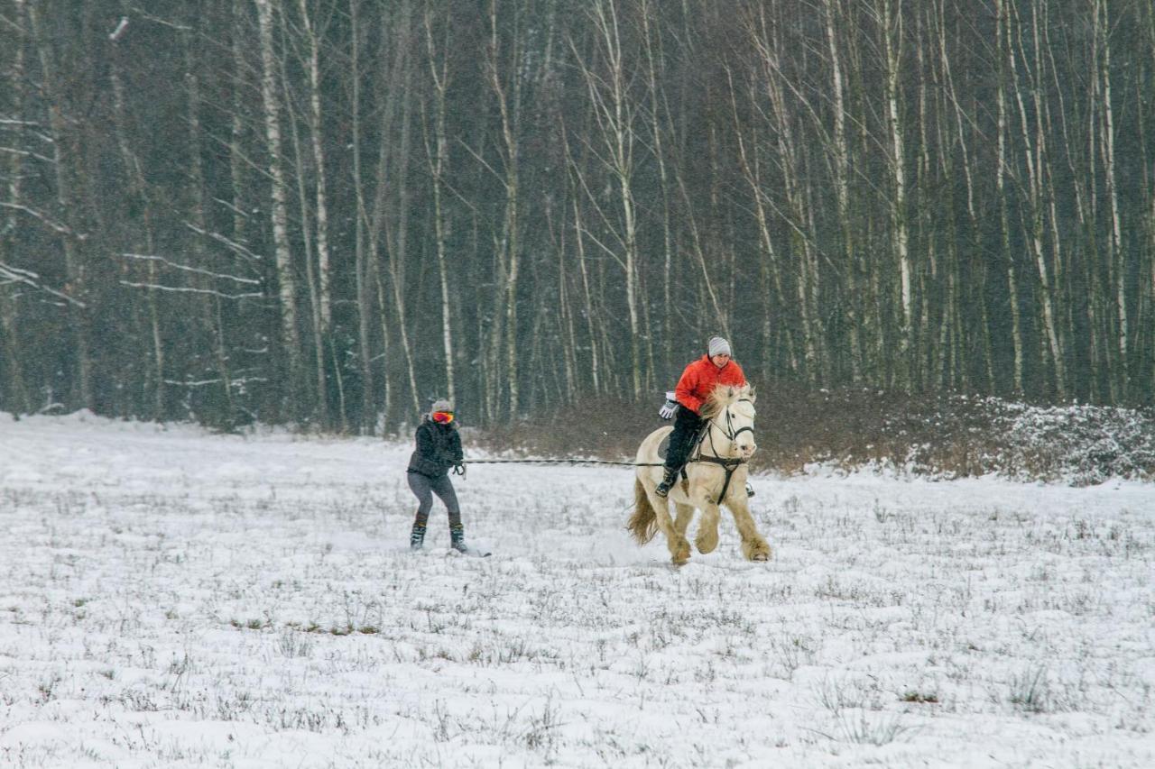 Kolorowe Wzgorze Agroturystyka I Konie Trojanow Exterior foto