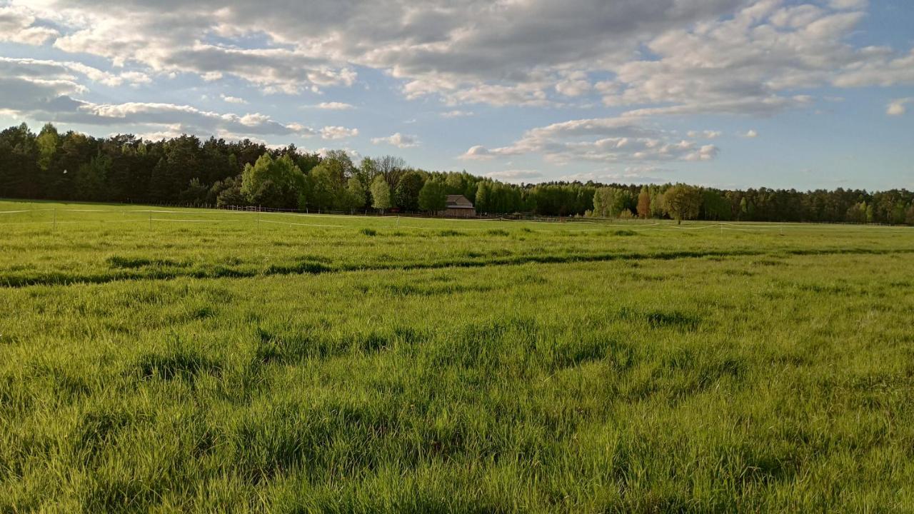 Kolorowe Wzgorze Agroturystyka I Konie Trojanow Exterior foto