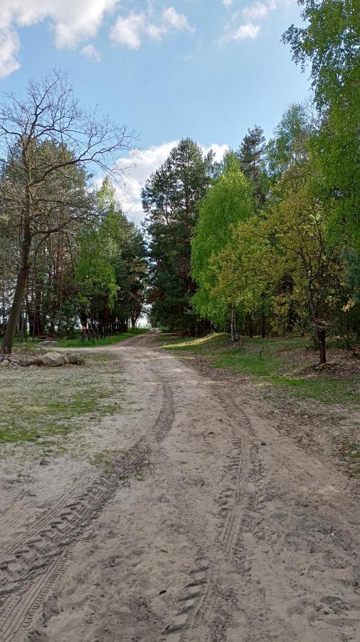 Kolorowe Wzgorze Agroturystyka I Konie Trojanow Exterior foto